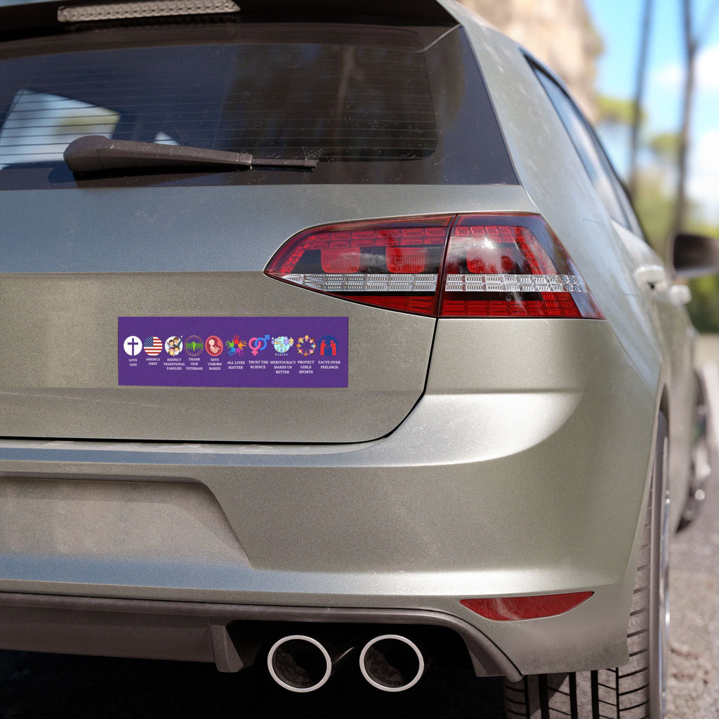 Conservative Values Car Magnets: Purple